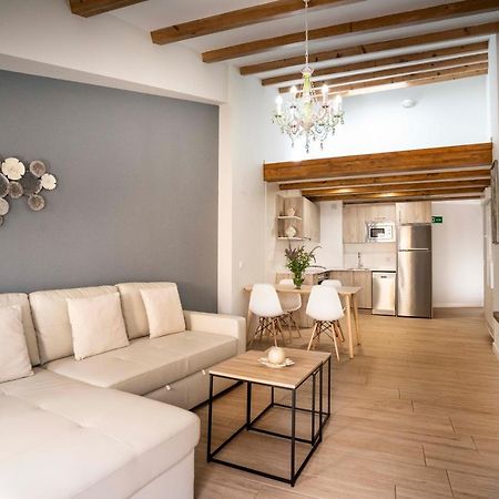 Apartamentos Terraza Ega Estella Exteriér fotografie