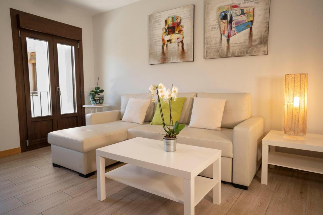 Apartamentos Terraza Ega Estella Exteriér fotografie